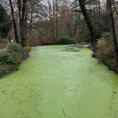 24-12-08 12-08-47 1765